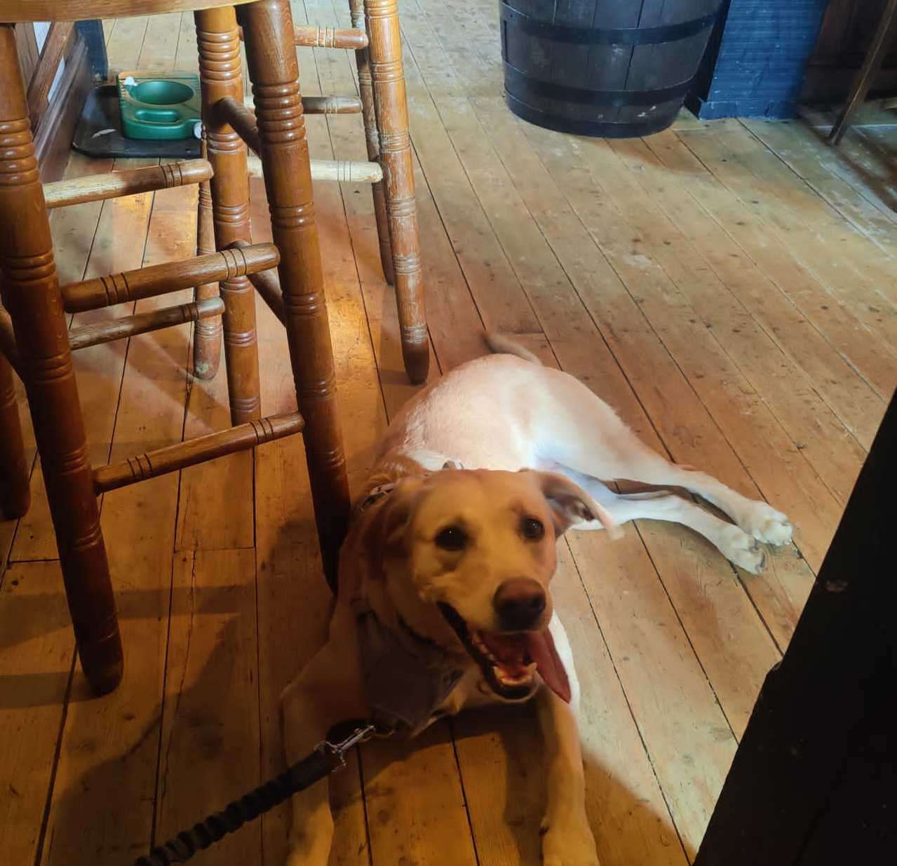 Mia enjoyed her time at the Dog Loft at the Black Horse Inn, Thurnham
