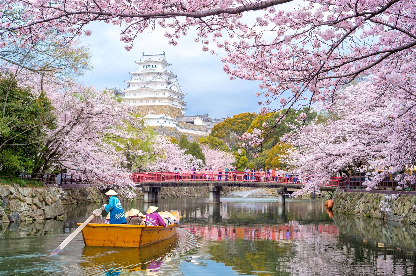 In Japan, celebrations take place throughout blossom season. Image: iStock.