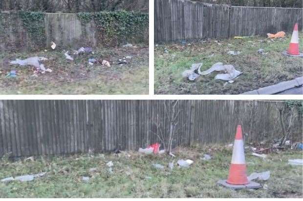 Waste pictured on the verges of the A249 earlier this year