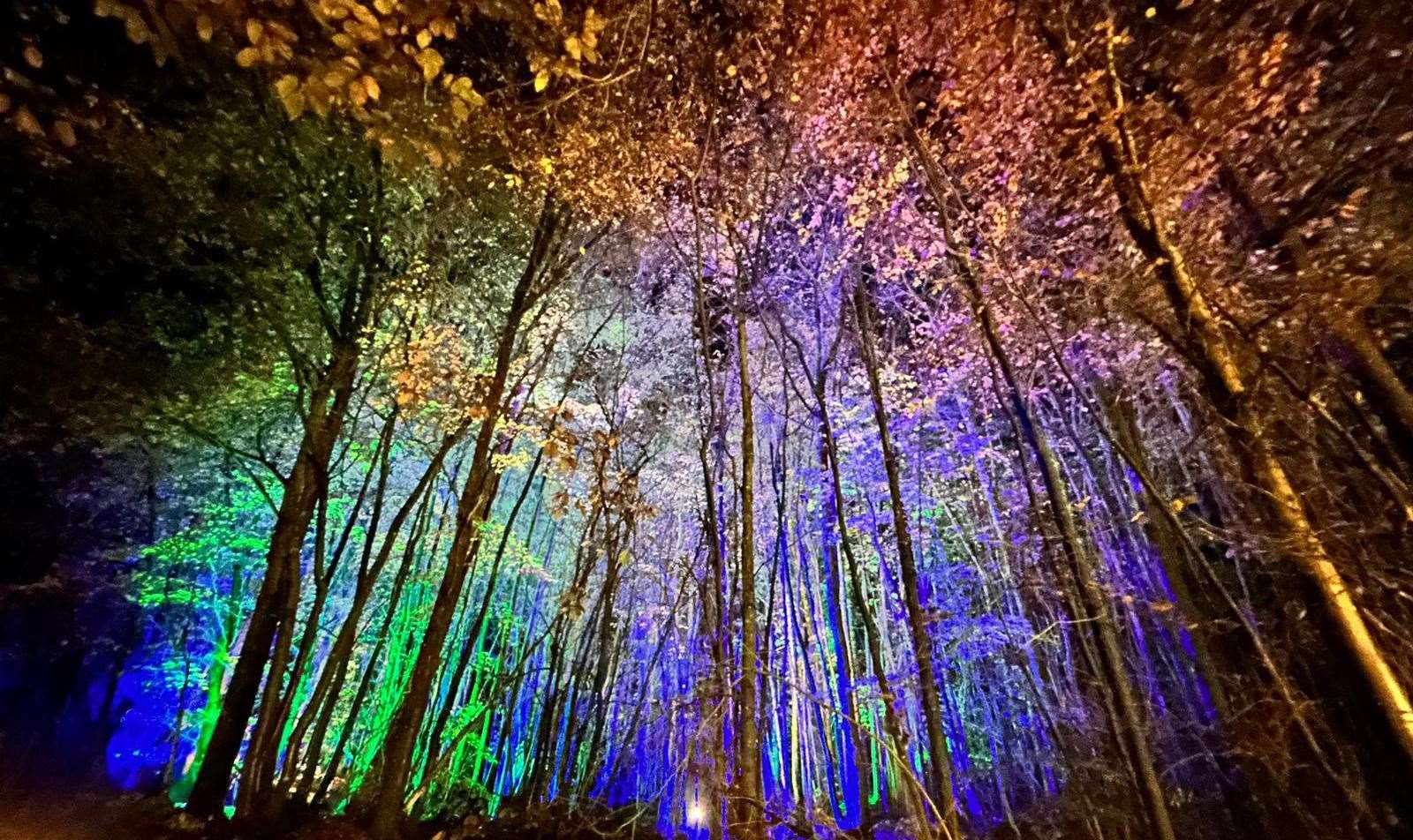 The colourful light trail is one of the most-visited events in Kent’s festive calendar